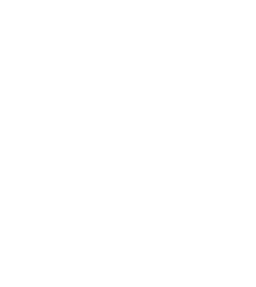 Vital Group • Communications • Human Resource • Finance • Planning • Partnerships • Corporate Logistics Management 